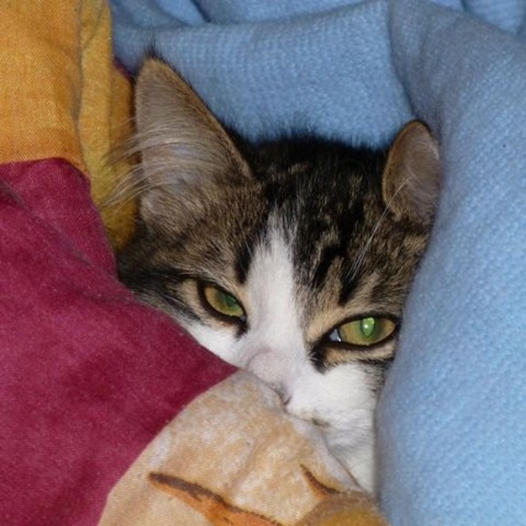 Meet your Posher, Mathieu - Picture 1 of 1